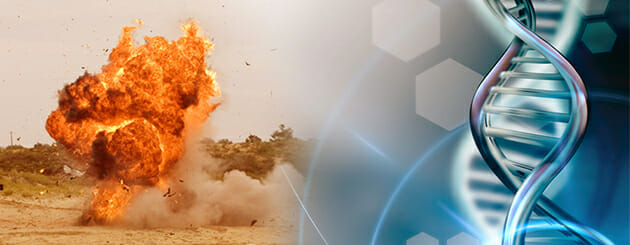 Researchers Study DNA From Explosives